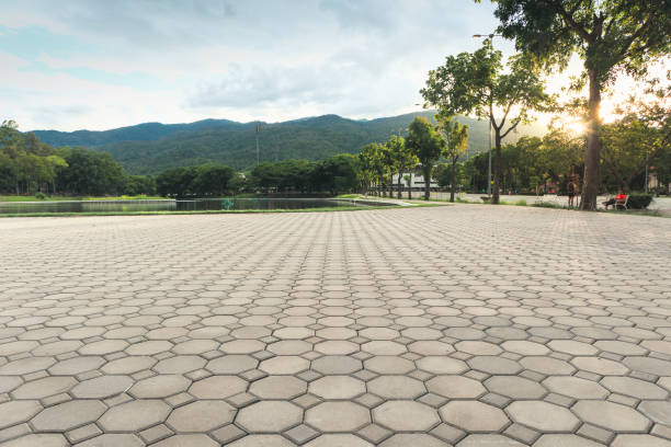 Best Professional Driveway Pavers  in Buckhead, GA